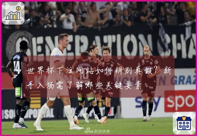 世界杯下注网站如何辨别真假？新手入场需了解哪些关键要素
