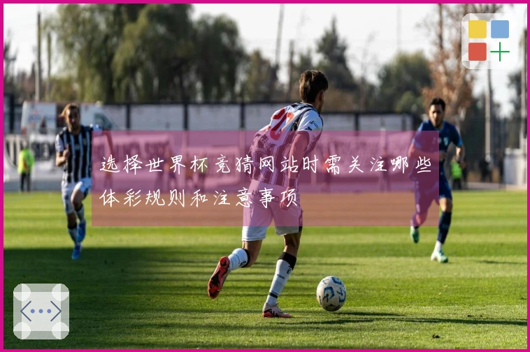 选择世界杯竞猜网站时需关注哪些体彩规则和注意事项