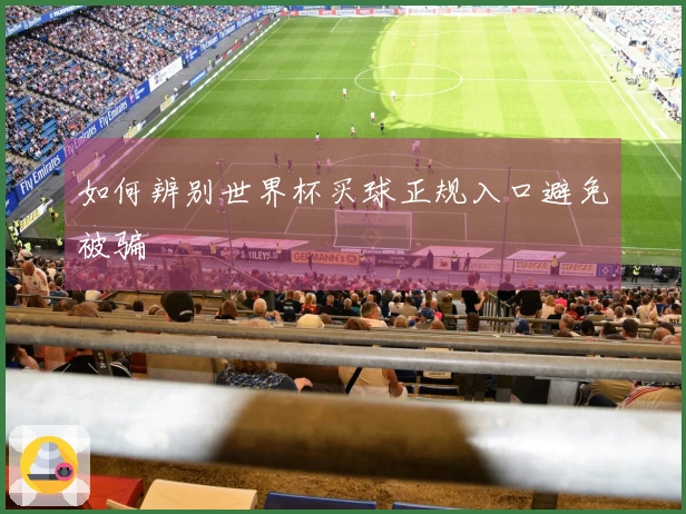 如何辨别世界杯买球正规入口避免被骗