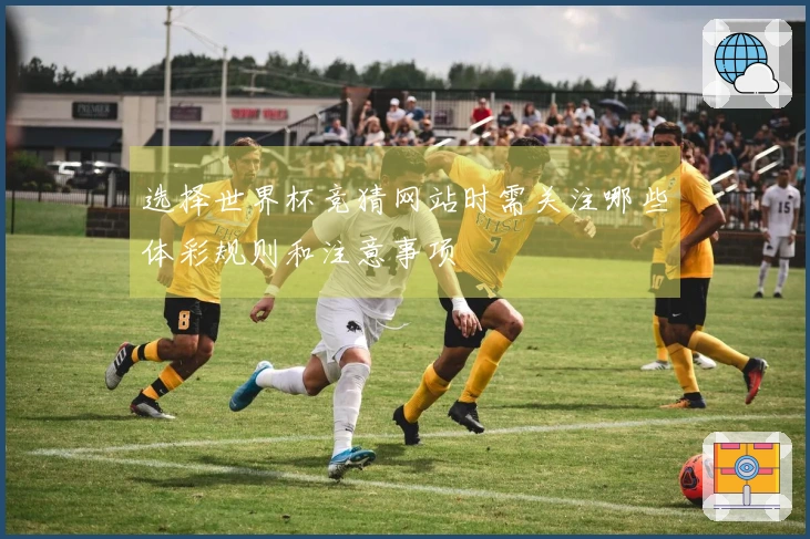 选择世界杯竞猜网站时需关注哪些体彩规则和注意事项
