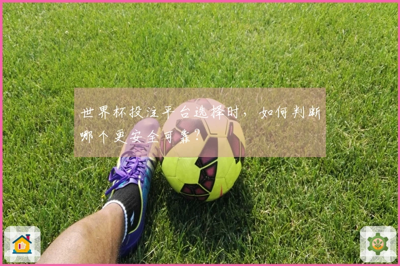 世界杯投注平台选择时，如何判断哪个更安全可靠？