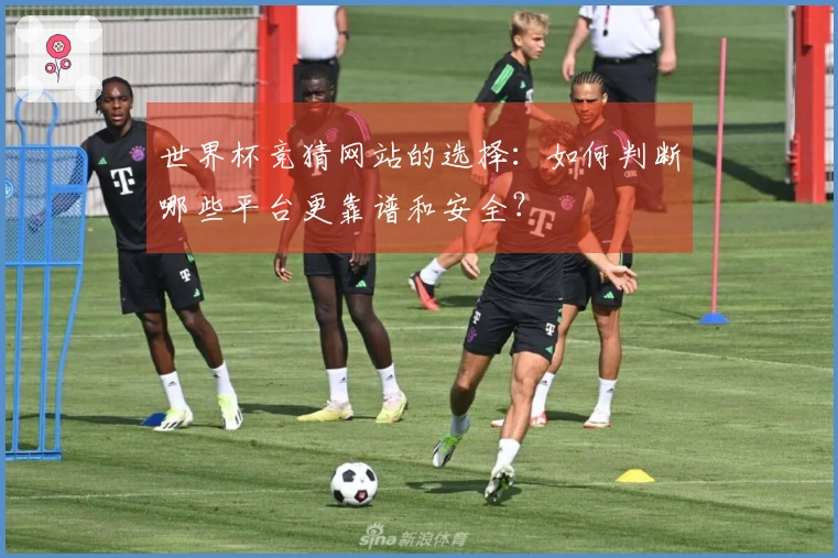 世界杯竞猜网站的选择：如何判断哪些平台更靠谱和安全？