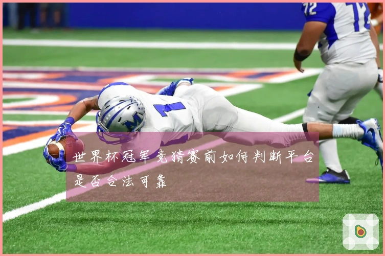 世界杯冠军竞猜赛前如何判断平台是否合法可靠